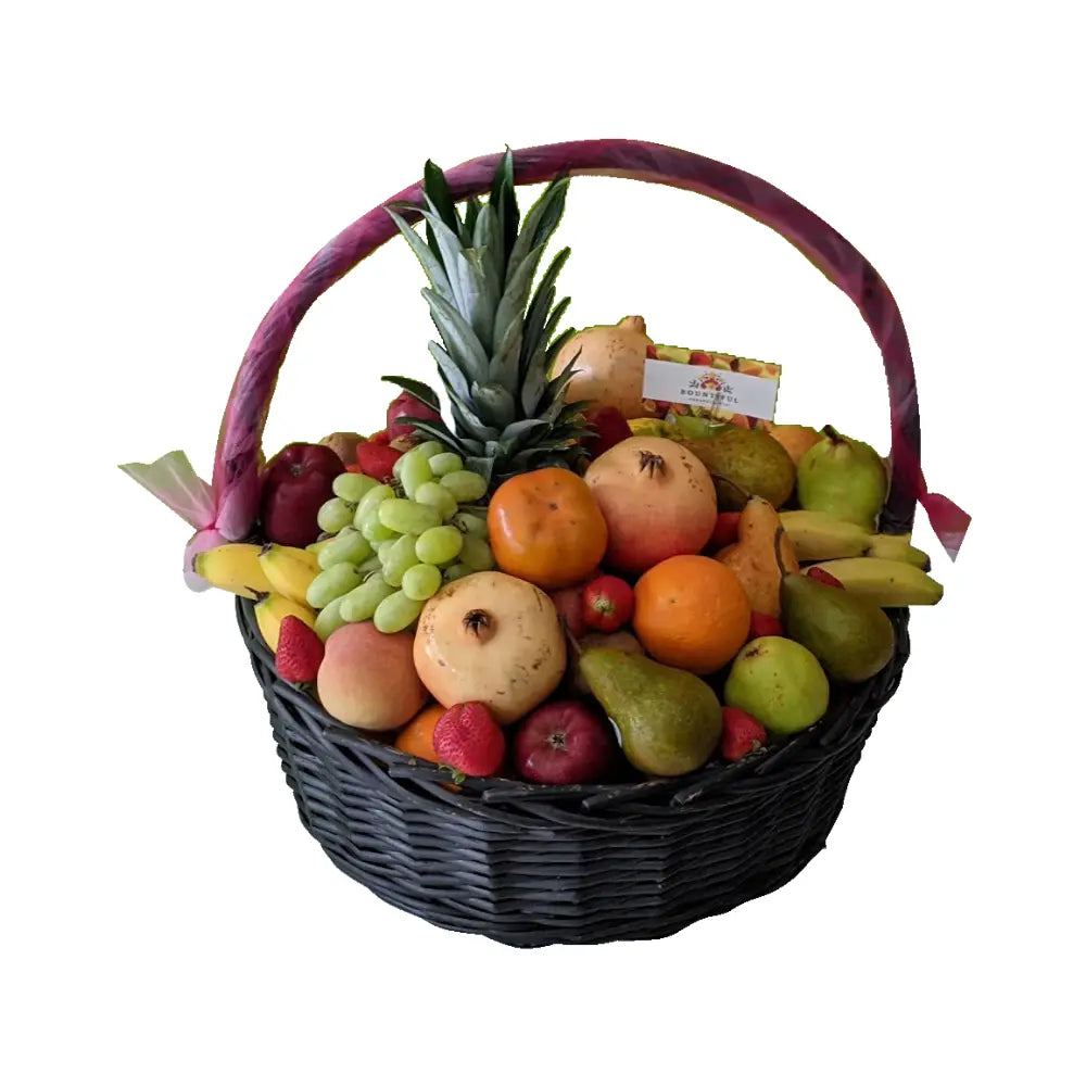 Sagan Basket